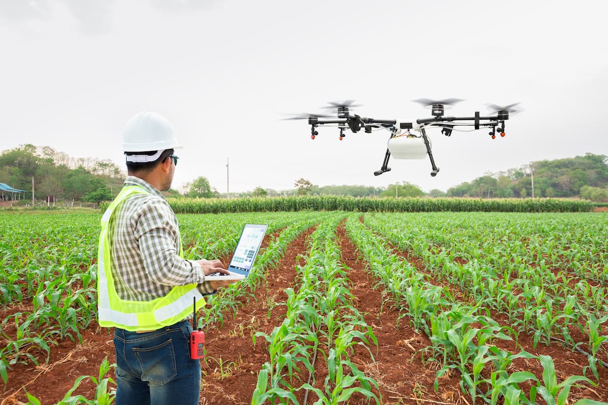 Smart Farming: O Que É E Como Aplicar A Fazenda Inteligente